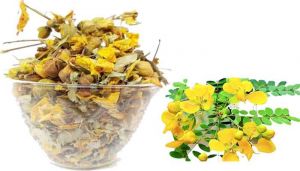 100 g Tanners Cassia Flower / Aavaram Poo (Dried) Online at best price - hbkonline.in