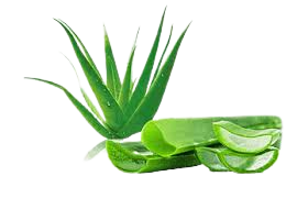 100 gm Aloe Vera Powder Online at best price - hbkonline.in
