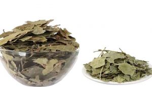 100 g Bel Patra (Dried) Online - hbkonline.in