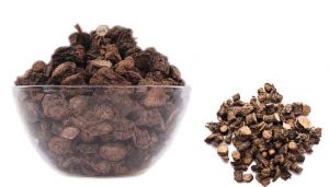 100 g Black Musli / Nilapanai Kilangu (Dried) Online at best price - hbkonline.in