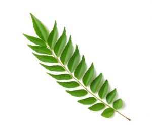 50 gm Curry Leaves Powder at best price - hbkonline.in