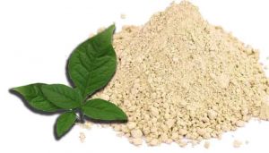 Buy 100 g Indian Bael Leaves  / Vilva Ilai / Maredu / Bel Patra / Bilva  Powder  - hbkonline.in