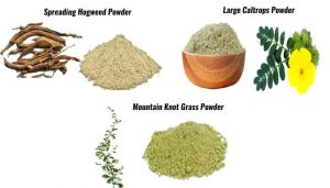 Kidney Stone Herbal Pack