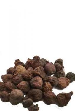 100 g Peepal Fruit / Arasam Pazham (Dried) - hbkonline.in