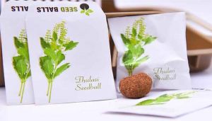 Buy Tulasi Seed Balls Online at best price - hbkonline.in