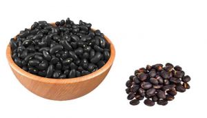 100 g Velvet Bean Seed / Poonaikali Vithai (Raw) Online at best price - hbkonline.in