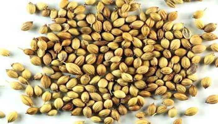 Buy Coriander Seed / Kothamalli / Dhaniyalu / Haveeja / Dhaniya / Kothmir /  Dhanikataila Powder - hbkonline.in