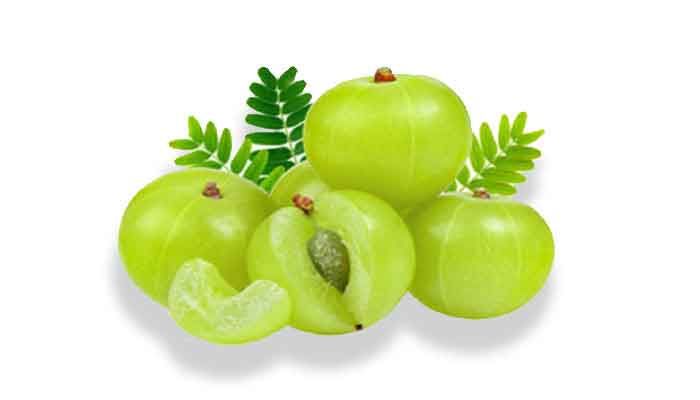 100 G Amla Nellikai Powder At Best Price Hbkonline In