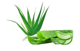 How to make aloe vera powder?