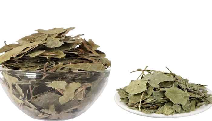 What  are the active compounds are present in dried bael leaves?