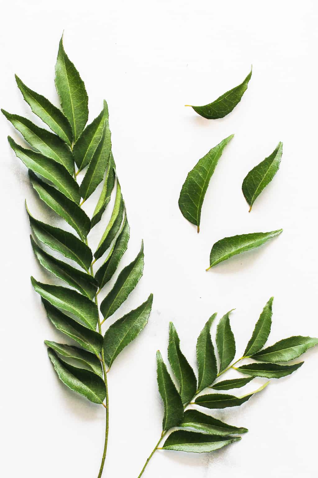 How does curry leaves powder improve hair growth and reduce hair fall?