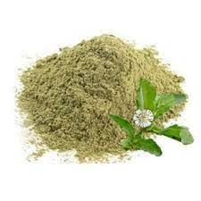 What is the benefit of false daisy powder?