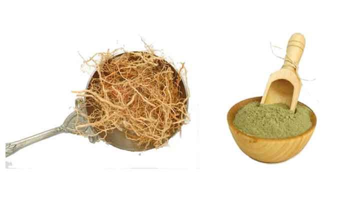 What are the main active compounds in khas khas root powder?