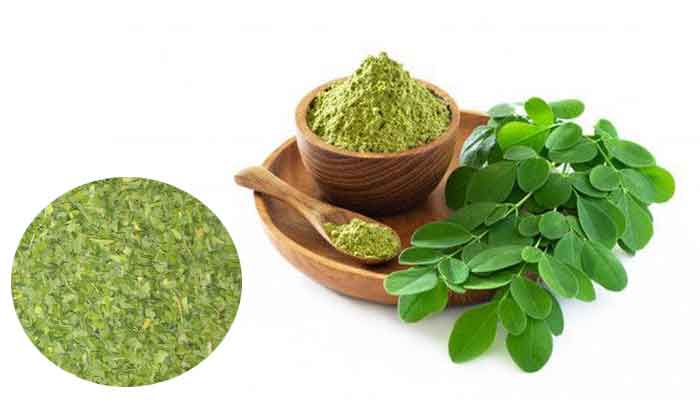 How Does Moringa Powder Support Immune System Health?