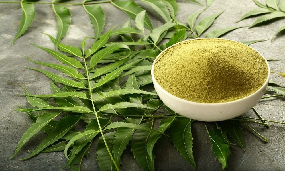 What are the 10 benefits of neem?