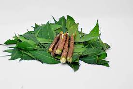 What are the benefits of neem sticks?