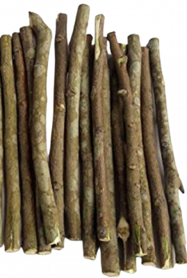 Neem Twigs and Sustainable Living