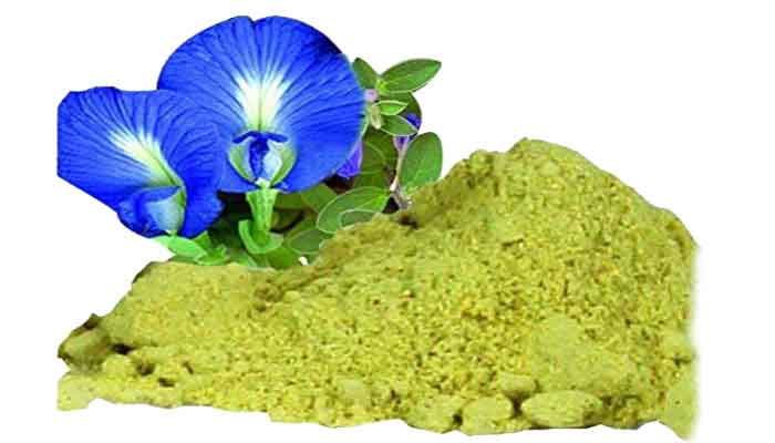 Advantages of Slender Dwarf Morning Glory Powder