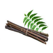 The Ancient Benefits of Neem Sticks for Oral Health