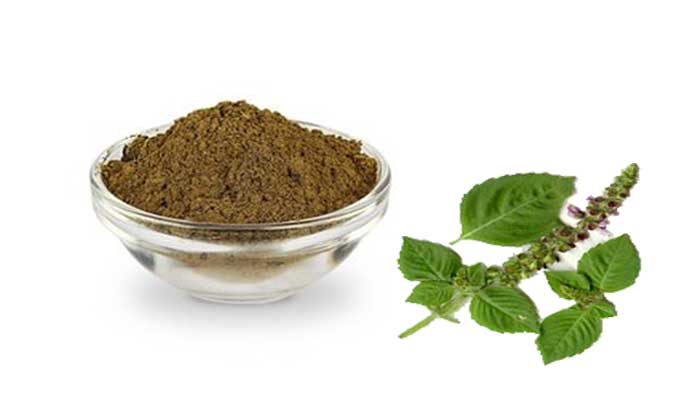 Buy 100g Natural Tulsi Powder at Best Quality India Hbkonline.in